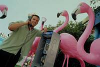 Кадр Силы природы