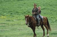 Кадр Незаконченная жизнь