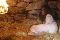 Кадр Лес теней