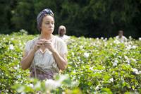 Кадр Дворецкий