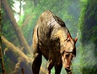 Кадр BBC: Прогулки с динозаврами (мини-сериал)