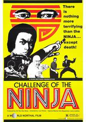 Шаолинь вызывает ниндзя