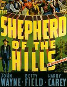 Ковбой с холмов