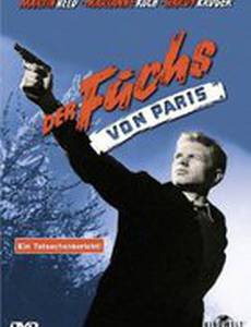 Лисы из Парижа