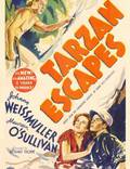 Постер из фильма "Спасение Тарзана" - 1