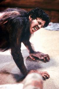 Кадр Американский оборотень в Лондоне