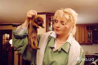 Кадр Четыре таксиста и собака