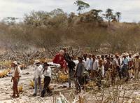 Кадр Дракон зла против святого воителя