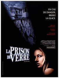 Постер Стеклянный дом