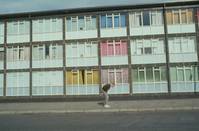 Кадр На игле