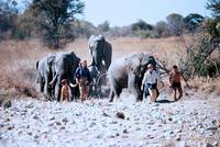 Кадр В плену песков