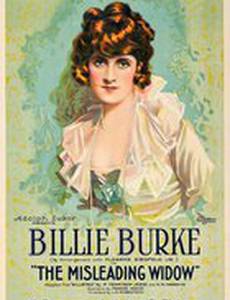 The Misleading Widow