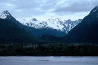 Кадр Белый клык