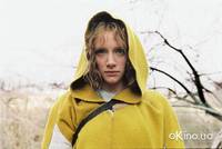 Кадр Таинственный лес