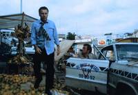 Кадр Свояки