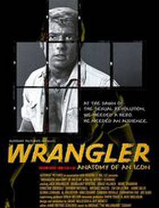 Wrangler: Anatomy of an Icon