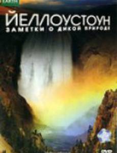 Йеллоустоун: Заметки о дикой природе