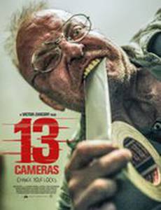 13 Cameras