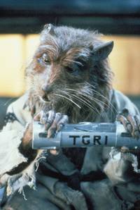 Кадр Черепашки-ниндзя 2: Тайна изумрудного зелья