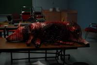 Кадр Воскрешение