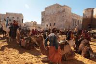 Кадр Черное золото