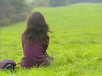 Кадр Спящий лес