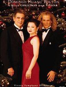 Merry Christmas from Vienna