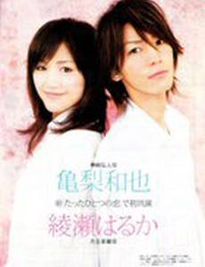 Любовь моей жизни (мини-сериал)