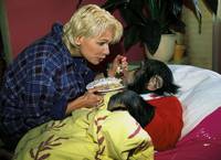 Кадр Детектив Шимпански