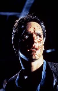 Кадр Кабан-секач