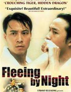 Ночной побег