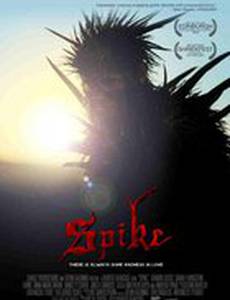 Спайк