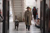 Кадр Моя собака Идиот