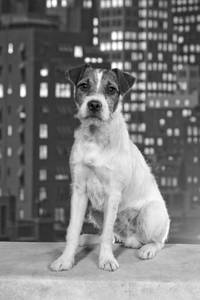 Кадр Артист