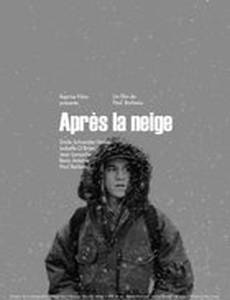 После снегопада