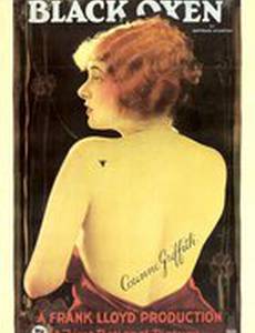 Черные быки