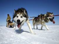 Кадр Discovery: Наука выживать
