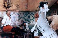 Кадр Картуш