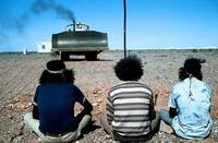 Кадр Там, где мечтают зеленые муравьи