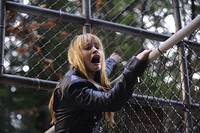 Кадр Остров Харпера