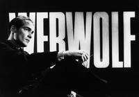 Кадр Европа