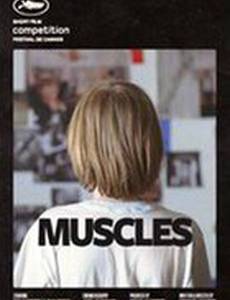 Мускулы