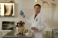 Кадр 8 первых свиданий 