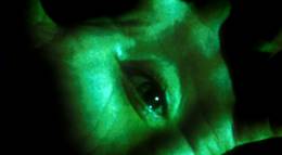 Кадр из фильма "Врата" - 1