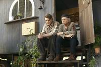 Кадр Восточный ветер