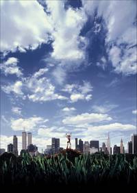 Постер Муравей Антц