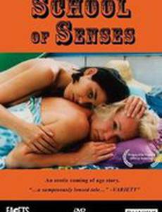 Школа чувствительности