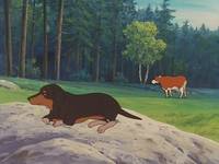 Кадр Катри, девочка с лугов