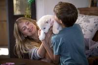 Кадр Приключения Мии и белого льва 