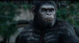 Кадр из фильма "Рассвет планеты обезьян" - 1